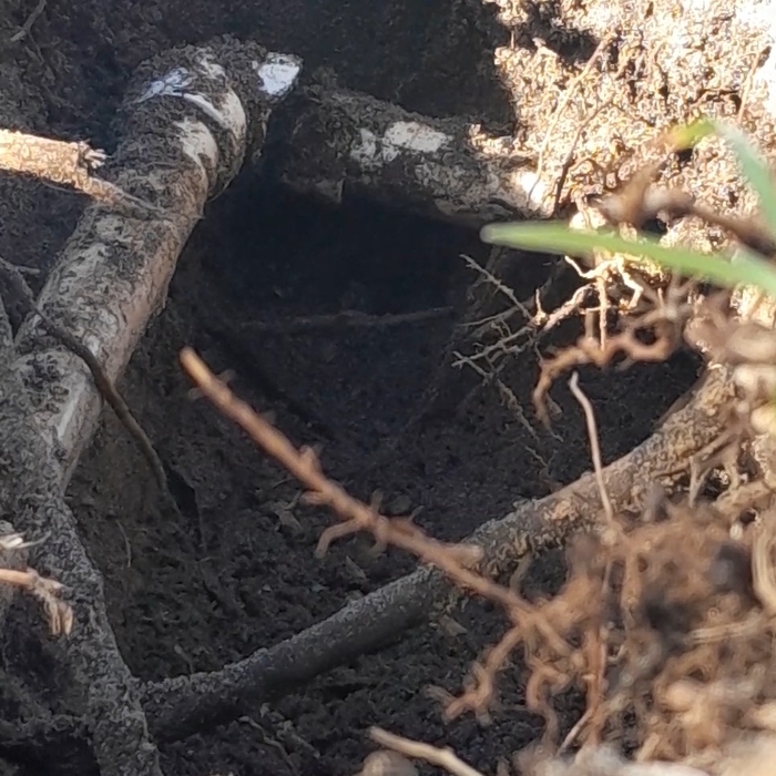 Irrigation inspection and