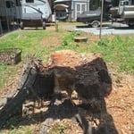 Stump grinding
