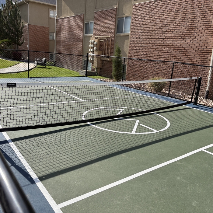 Custom Court