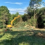 Brush Clearing