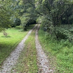 Driveway rehab