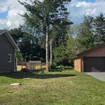 Tree cutting