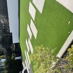 Turf and Concrete