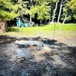 Stump removal