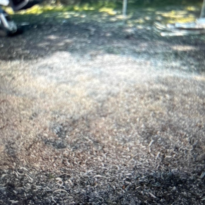 Stump removal