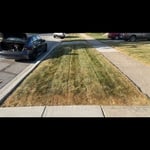 Mowing