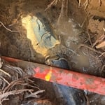 Sewer Line Damage