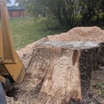 Stump Removal