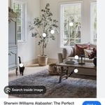 House remodel
