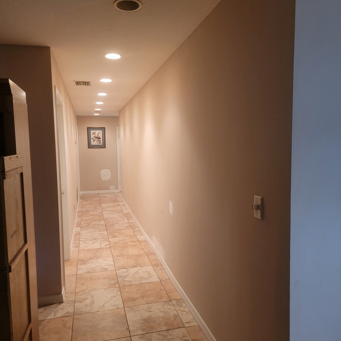 Interior Repaint