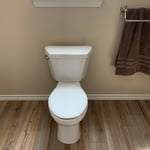 Toilet install