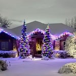 Christmas Lights