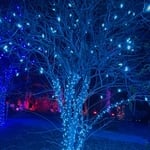 Christmas Lights