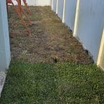 Front and backyard