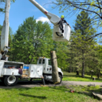 Final Fall Tree Service