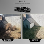 Junk Removal