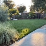Backyard lawn/patio