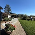 Fresh-cut lawn