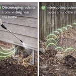 Rodent Control Service
