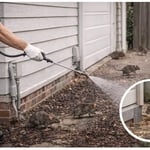 Rodent Control Service