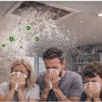 Attic Insulation Service