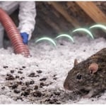 Attic Insulation Service