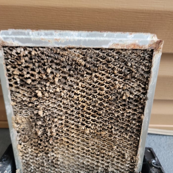 Humidifier Pad