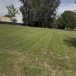 Lawn Service Projects