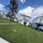 Lawn Service Projects