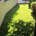 New sod installation