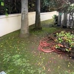 New sod installation