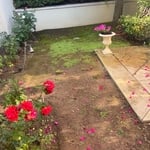 New sod installation