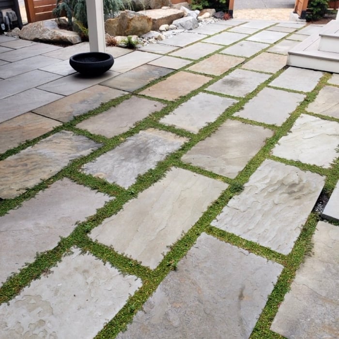 Covered patio and garden