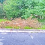 Junk removal