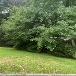 Debris