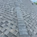 Auburn roof