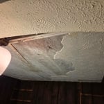 Plaster