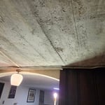 Plaster