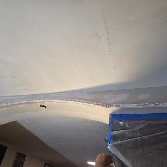 Plaster