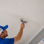 Ceiling Repair
