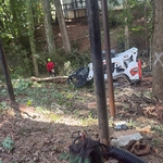 Tree service