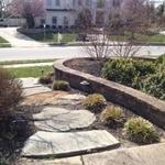 Pruning shrubs
