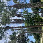 Property clean up