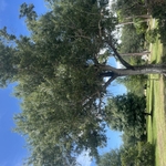 Property clean up