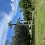 Property clean up