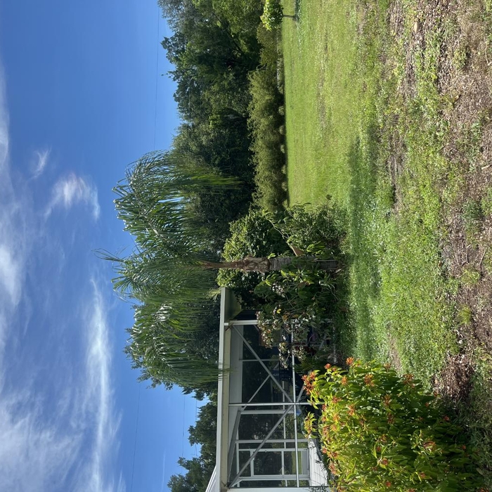 Property clean up