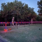 Holiday lighting