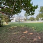 Tree trimming