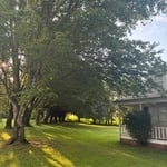 Tree trimming