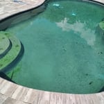 Green to clean